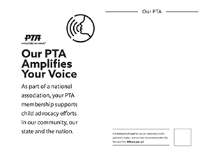 Customize-Content-Amplifies-BW