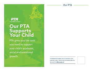 Customize-Content-Flyers-Support-Color