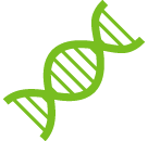 Science, Technology, Engineering & Math